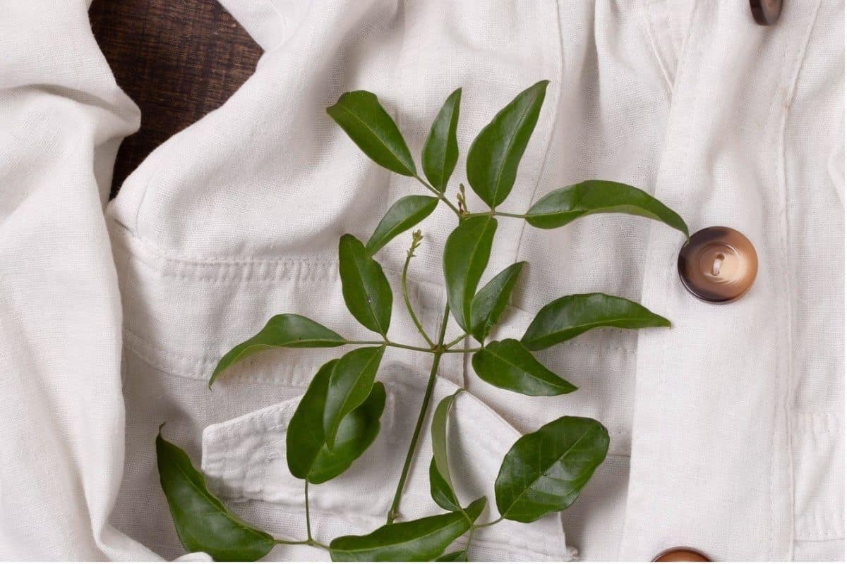 is viscose bad for the environment clothes